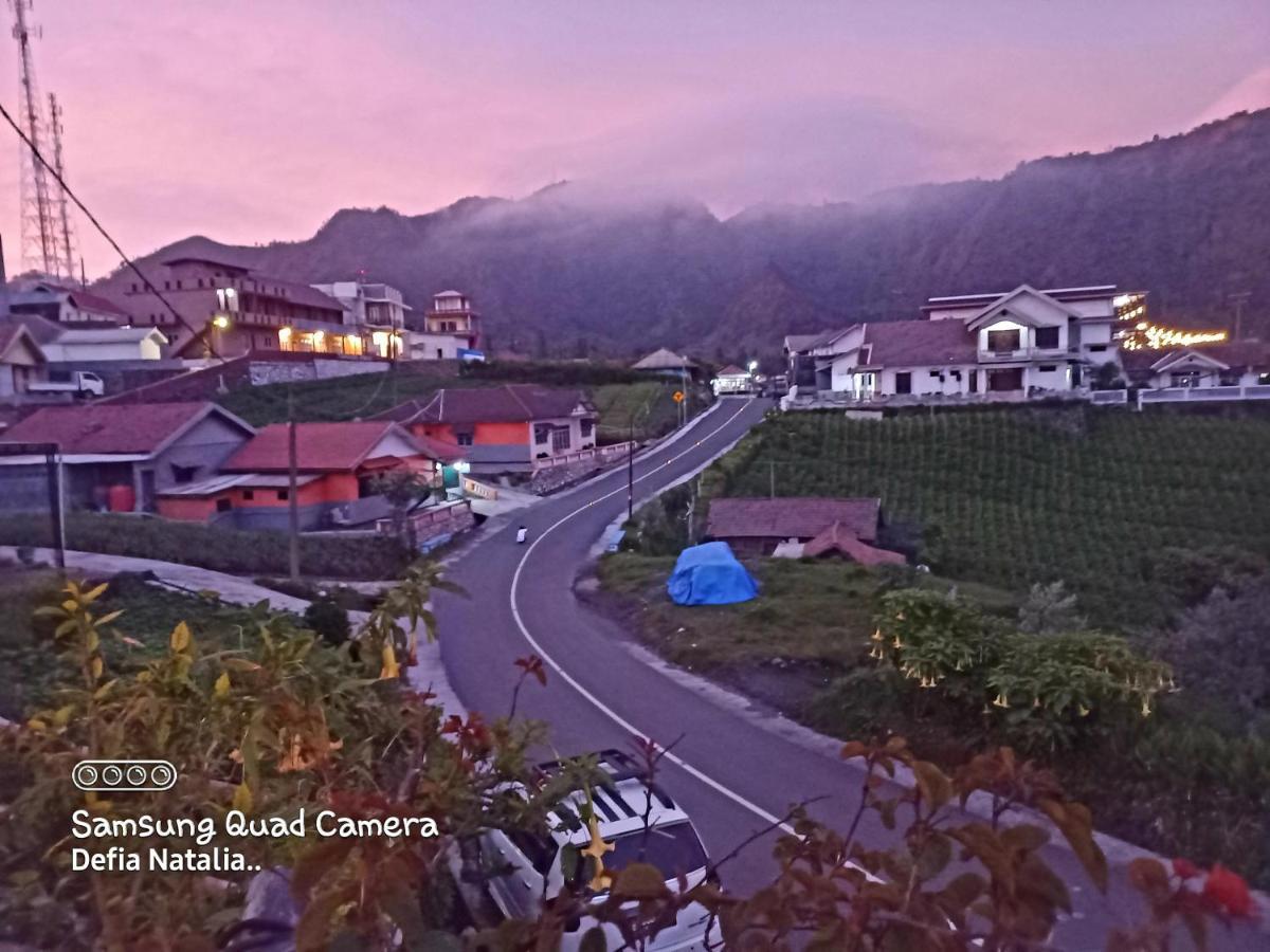 Bromo Deddy Homestay Dış mekan fotoğraf